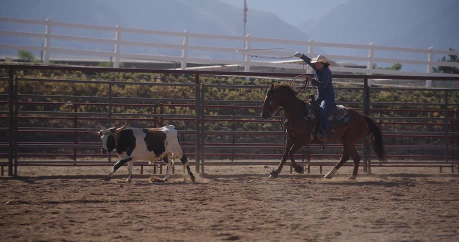 A woman is swinging a lasso on the horse