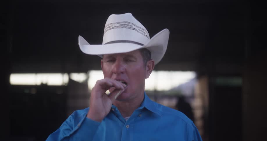 Portrait of a cowboy putting a piece of grass in his mouth