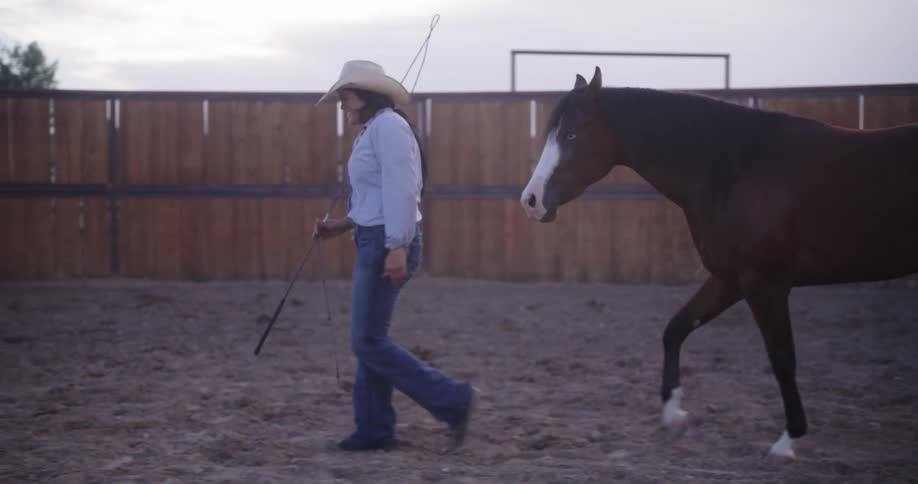 Woman walking across paddock smiles after looking back at the horse following her