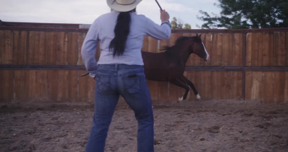 A horse runs along a solid wood fence in a horse pen as a woman in a cowboy hat cracks a whip by it in the late evening as the sun is setting