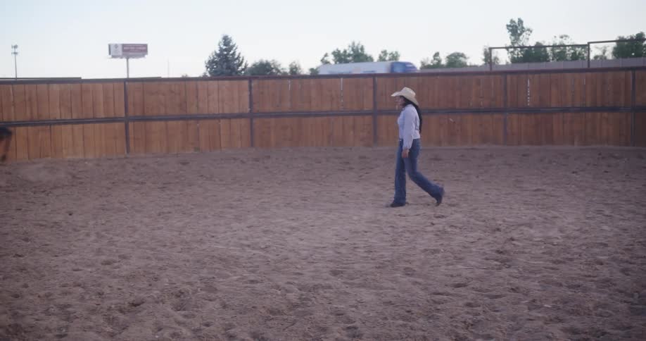 Lady made a horse run round an enclosed area with a whip during the day