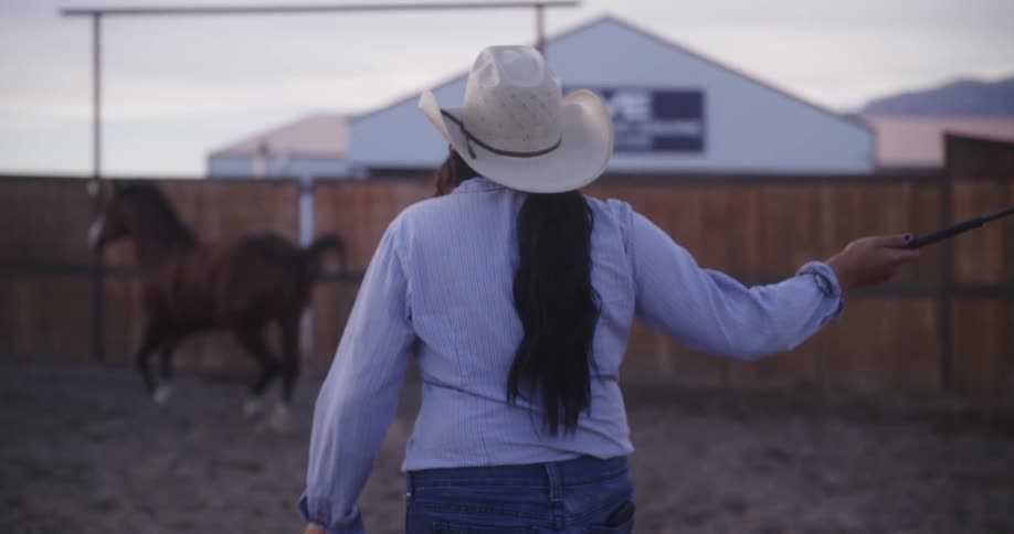 A woman walks after her running horse