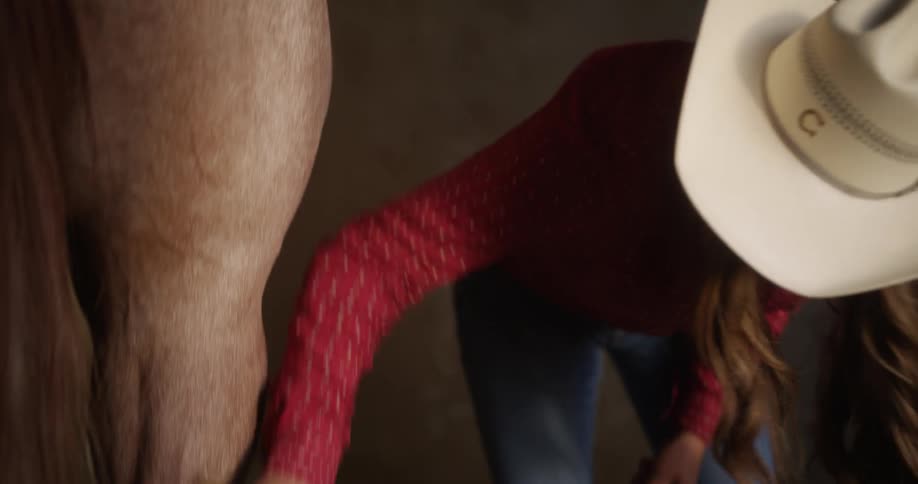 A woman brushing a horse while wearing a cowboy hat