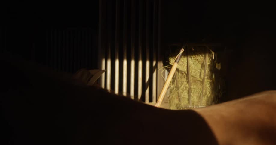 The outline of the door where the sun is shinning through illuminates part of a dark barn where a horse is standing next to a female ranch hand who is lifting up with a pitchfork to a stack beside her