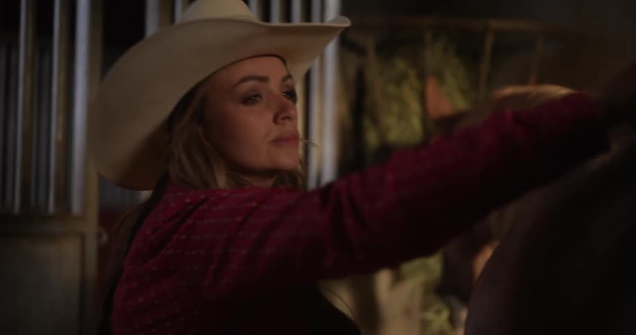 Cowgirl brushing her horse inside a ranch