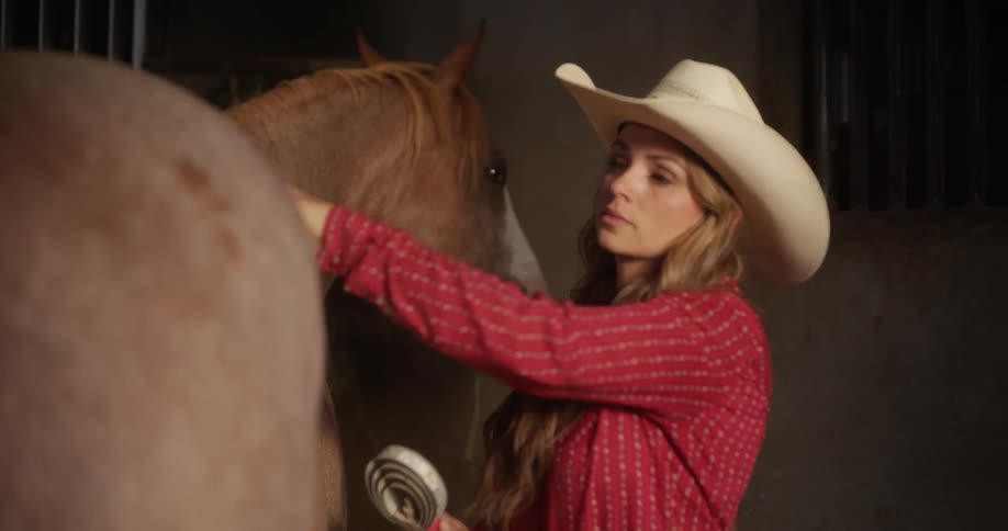 Lady brushing the back of a horse indoor