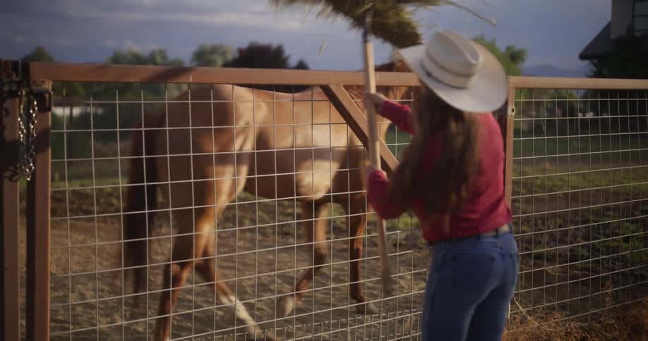A woman in cowboy hat is feeding a horse with grass