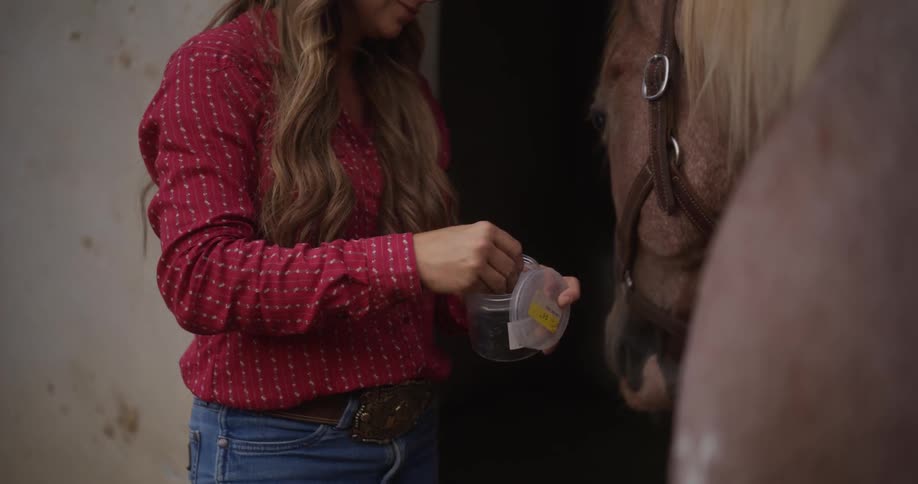 A woman with a hat is taking something from a plastic pot and giving it to a horse next to her