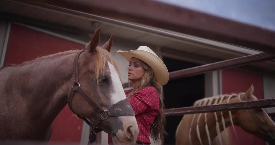 A woman in a stable caring for a horse