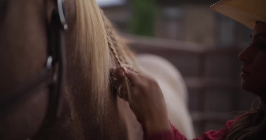 A woman braiding a horses mane