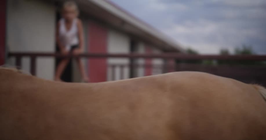 Horse spinning in a ranch with a little girl beside