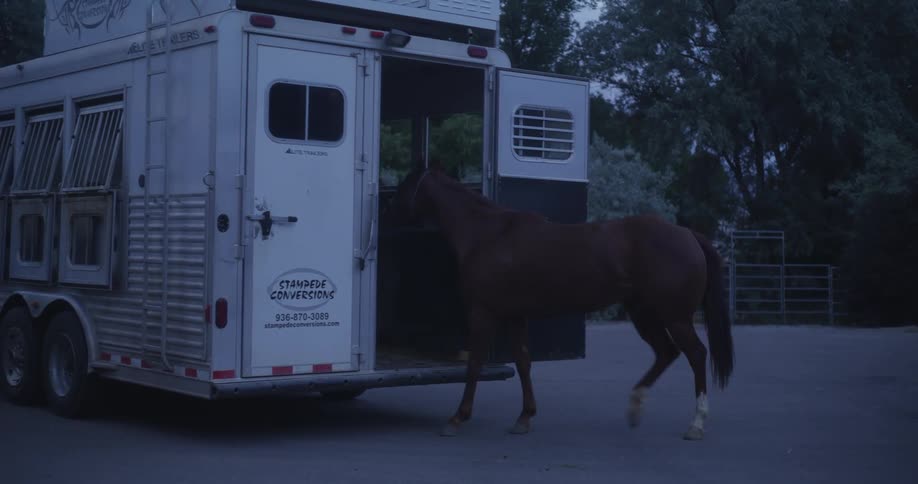 A woman putting a horse inside a trailer with the back doors open