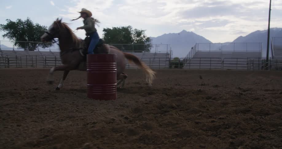A woman riding a stallion running around a barrel in the arena