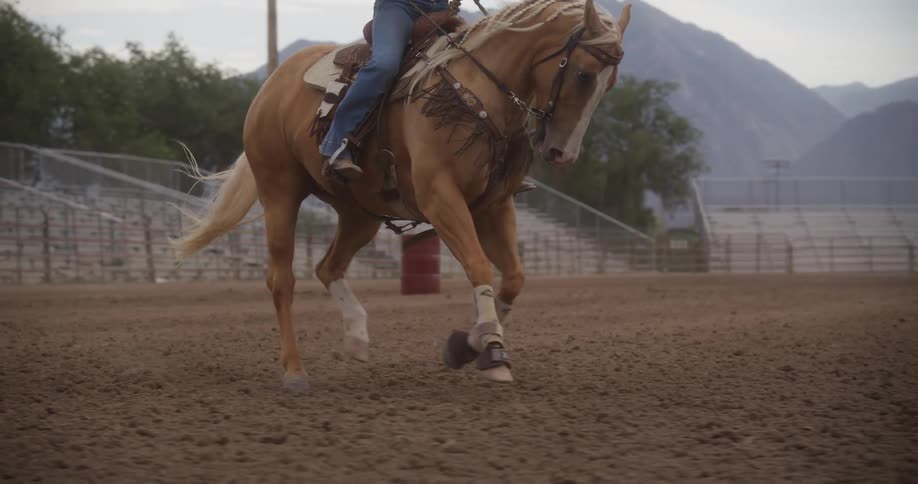 A person is riding a horse as it canters around a racetrack set at the foot of mountains