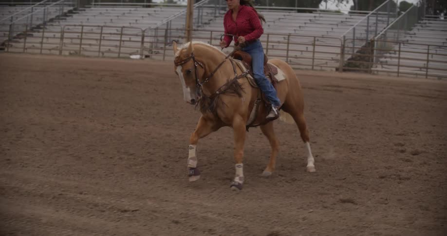 A woman riding a horse in an arena