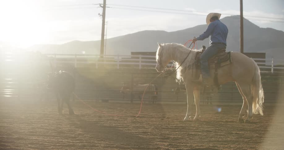 A man riding a horse in a corral