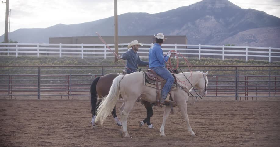 Two men riding horses with ropes in a rodeo arena