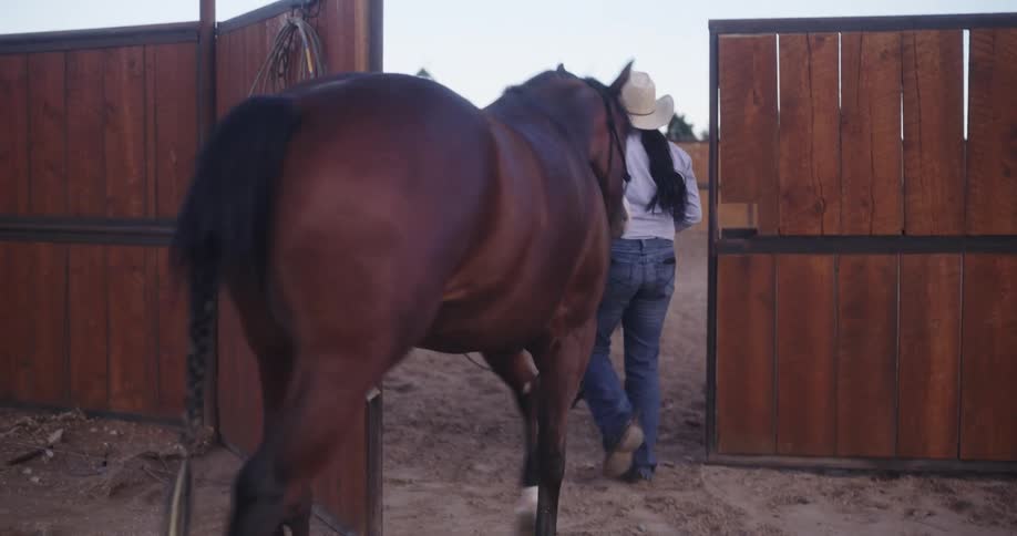 A woman wearing a cowboy hat is walking a horse into a ranch