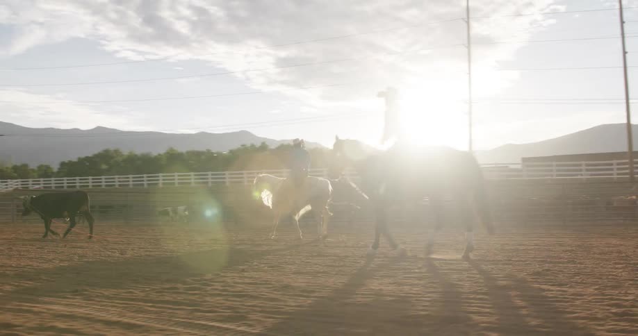 A couple of cowboys riding horses on a rodeo at morning