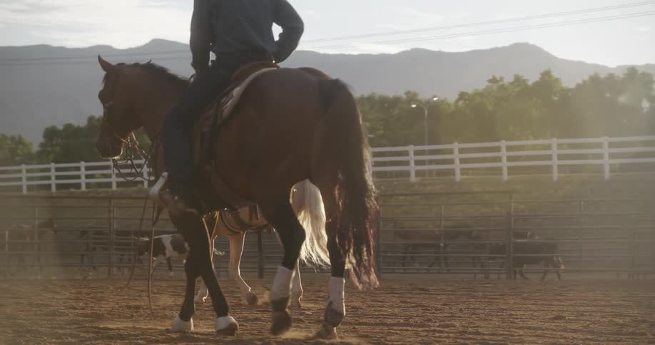Two cowboys riding horses on a ranch