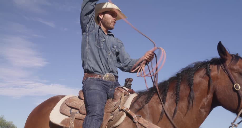 Man on a horse swinging rope above his head on a sunny day