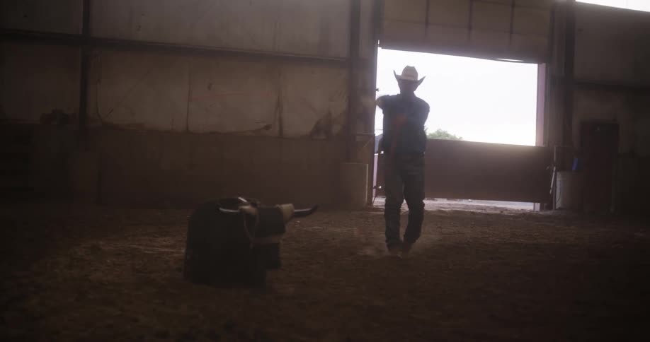 A cowboy inside a barn is practicing throwing a lasso at a dummy cow