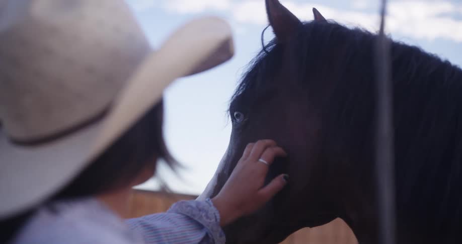 Woman petting a horse