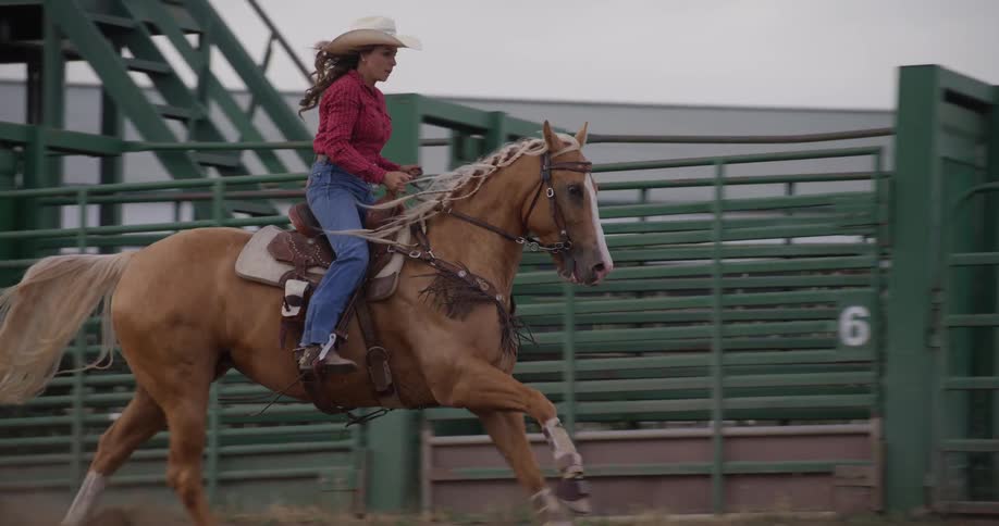 Cowgirl riding horse in a ring