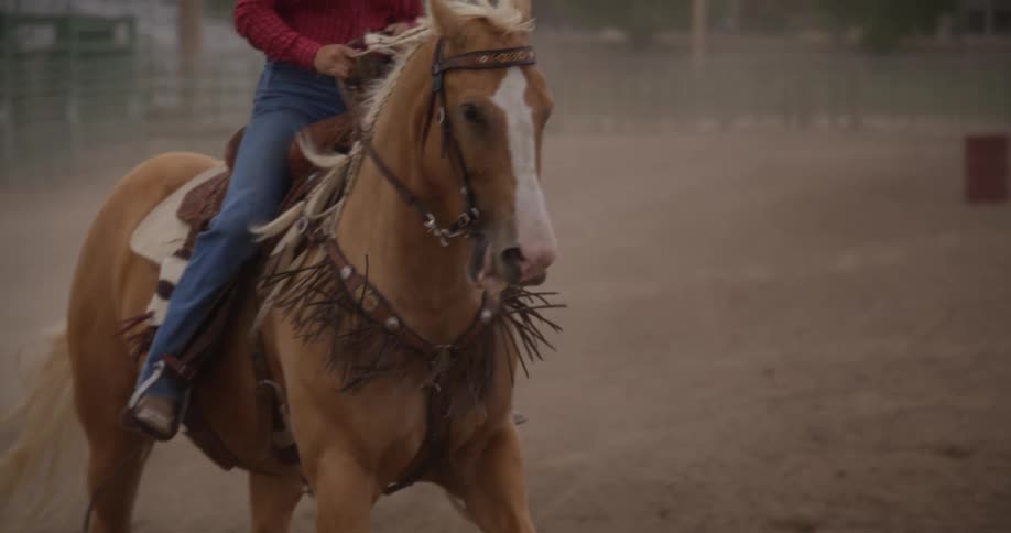 Cowgirl riding a horse in a rodeo