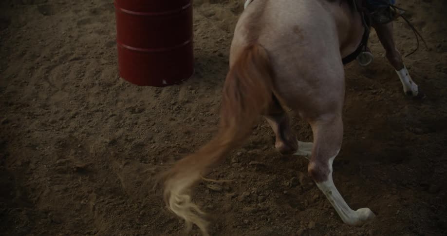 Cowboy rides a horse around a red barrel in the rodeo