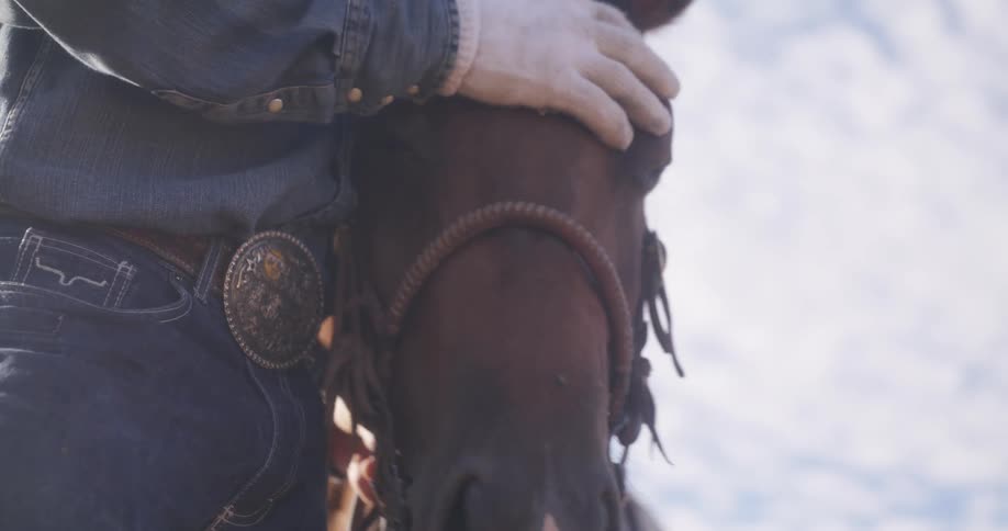 Hand of a person wearing a glove caressing the face of a horse