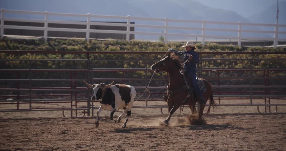 Cowboy on horseback roping a bull by its legs