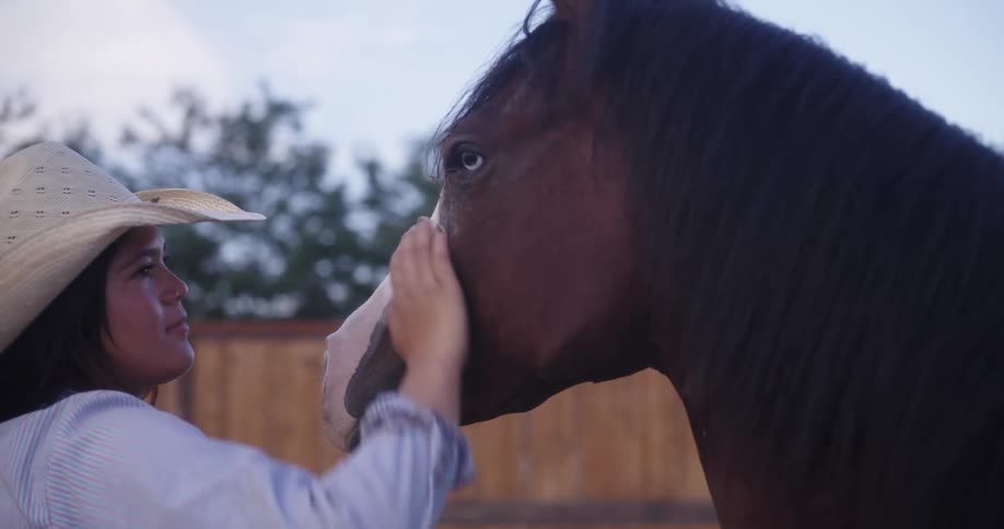 Woman petting her horse