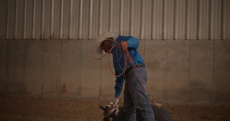 Cowboy practicing rodeo throws with a rope on a dummy