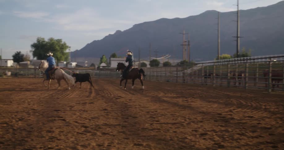 Two men on horseback in a ranch trying to rope and subdue a bull