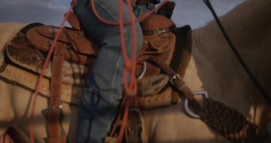 A person riding on a horse while holding a rope