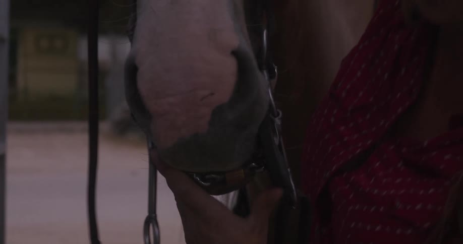 A woman in a cowboy hat puts a bridle on a horse