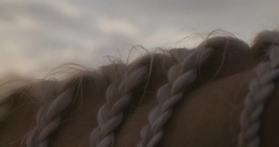 A close up clip of a horse neck