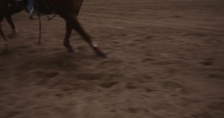 A woman on a horse gallops on a field