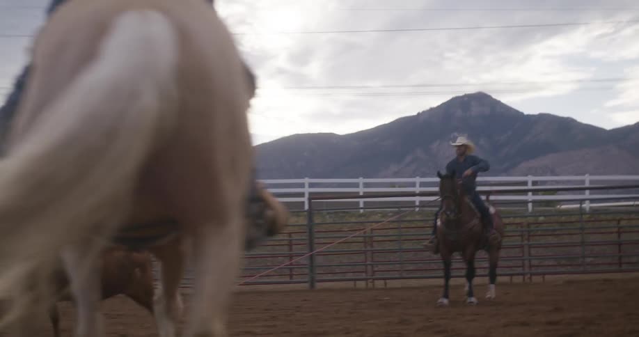 Two men on horses put ropes on a bull during the day