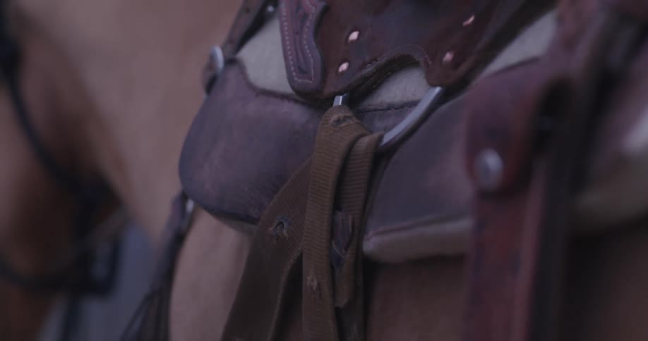 Person tightening saddle on a horse at midday