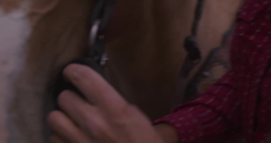 Cowgirl checks the reins on a horse