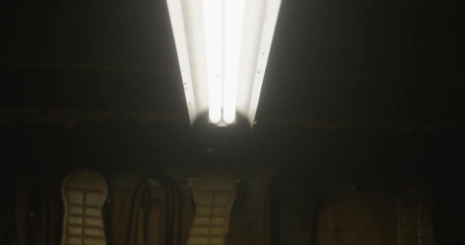 Several mosquitoes flying near a bright lamp