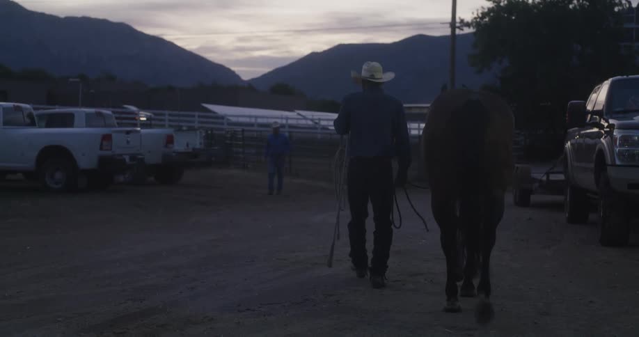 A man walking side by side his horse