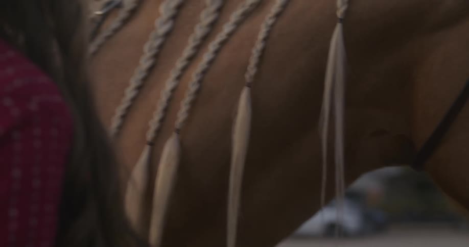 A girl is stroking the braids in a horses mane