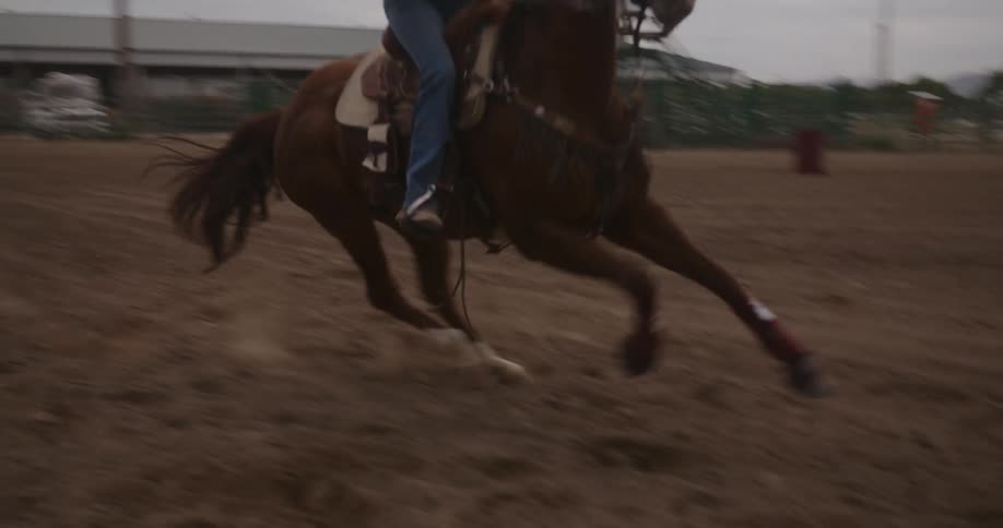 A woman gallops on a horse on a ranch