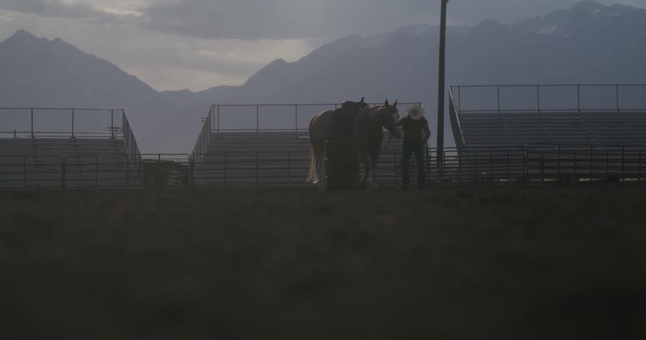 Lady walking with a horse at sunset
