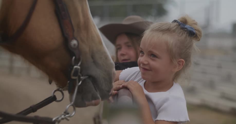 Two girls on a fence watch and pet a horse