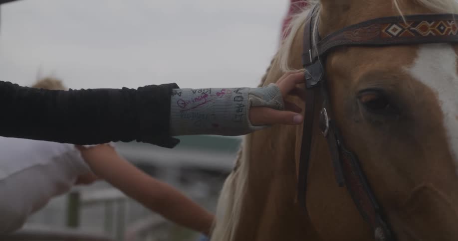 Cowgirl and a girl brush the mane of a horse