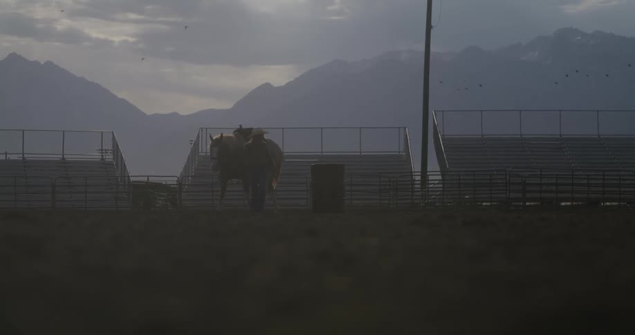 A woman walking a horse in an arena on a cloudy day